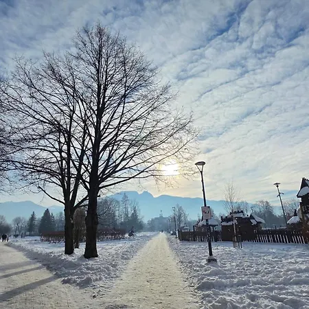 Sunny Centrum Lejlighed